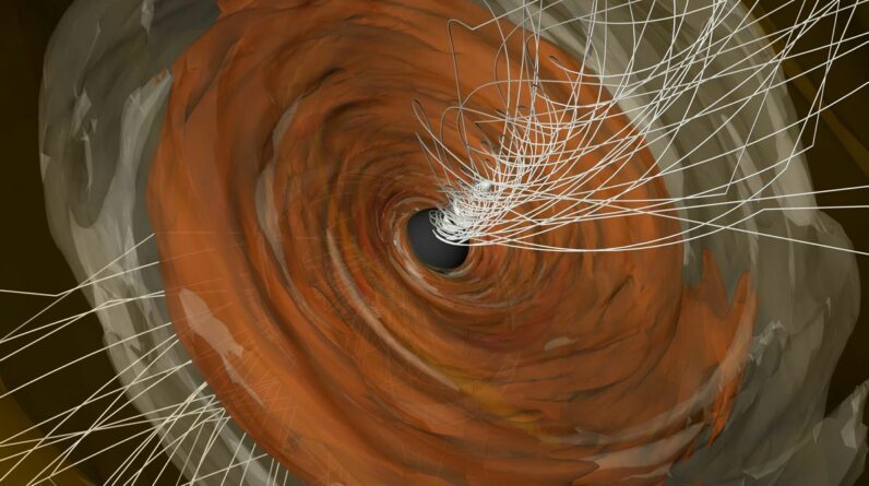 Twisted magnetic fields around the black hole at the heart of M87, shown in an illustration, may provide an escape route for matter from the immense gravitational well.