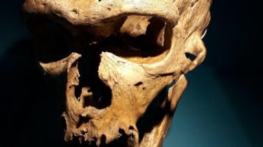 Descoberta importante mostra que os Neandertais poderiam produzir uma fala semelhante à humana: ScienceAlert