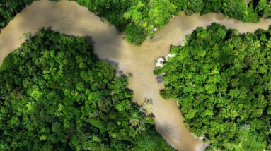 O Brasil proporá a criação de um fundo de proteção às florestas tropicais na Conferência das Nações Unidas sobre Mudanças Climáticas (COP28 – Libération).