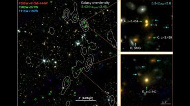 Telescópio Espacial James Webb descobre ‘videira cósmica’ de 20 galáxias conectadas no universo primitivo