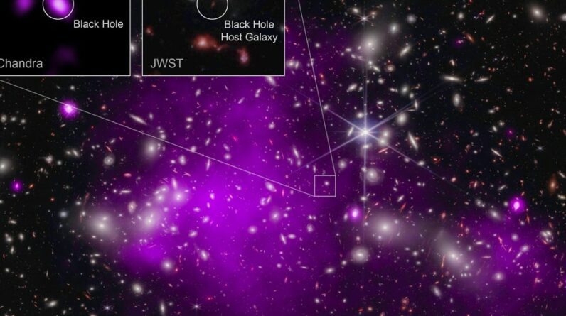 Um buraco negro recorde descoberto pelos telescópios Webb e Chandra