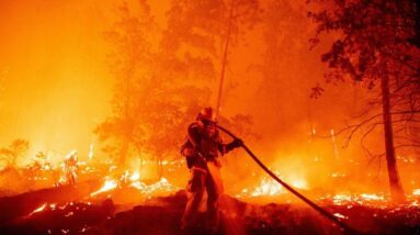 Nova pesquisa descobriu que incêndios florestais podem liberar substâncias químicas cancerígenas do solo