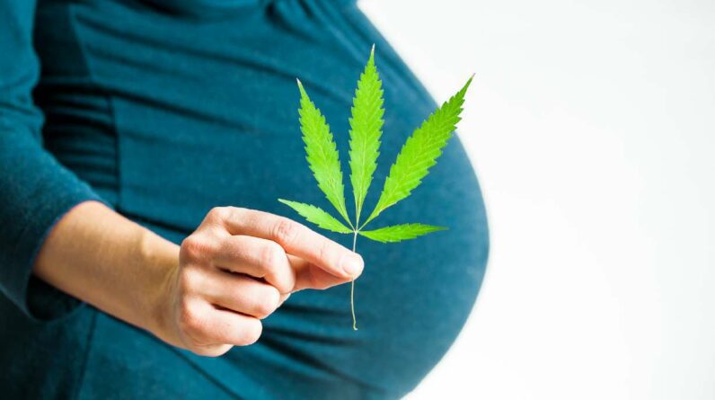 Pesquisadores nos Estados Unidos estão descobrindo que o uso de cannabis durante a gravidez pode aumentar os resultados adversos