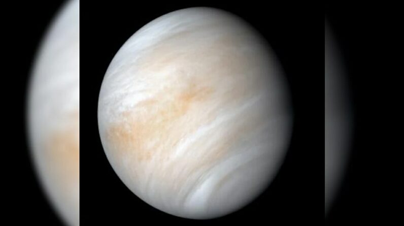 A Lua pode ter inclinado a rotação de Vênus na direção errada: estudo