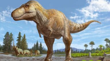 Um primo mais velho do T. rex foi descoberto no Novo México