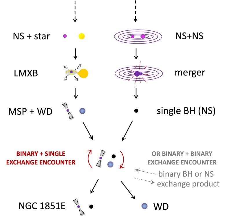 Rádio pulsar NGC 1851E e a história da formação de estrelas companheiras exóticas