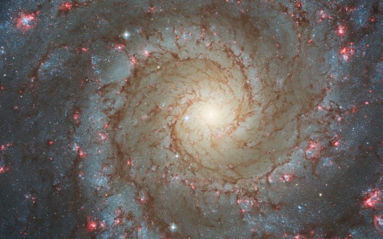 Galáxia espiral do Hubble NGC 628
