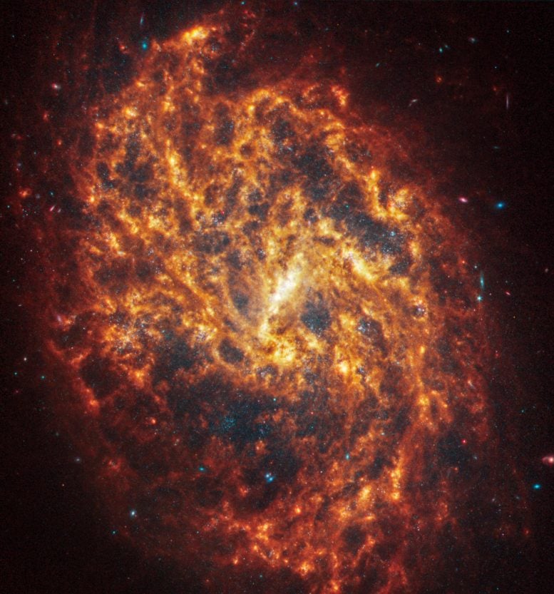 Galáxia espiral Webb NGC 1087