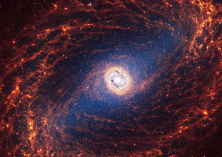 Galáxia espiral Webb NGC 1433