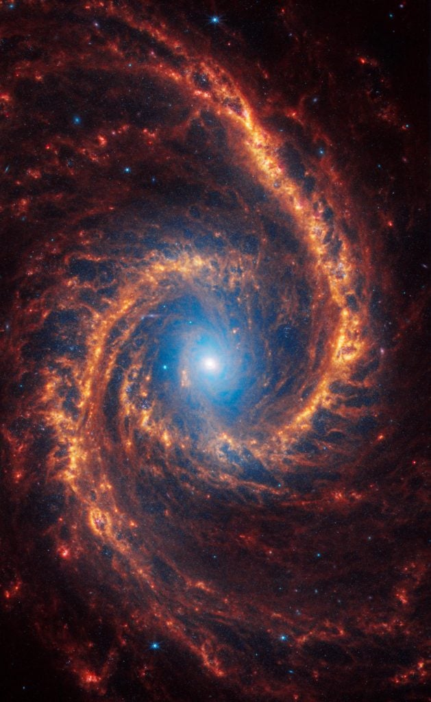 Galáxia espiral Webb NGC 1566