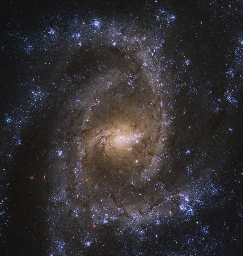 Galáxia espiral do Hubble NGC 2835