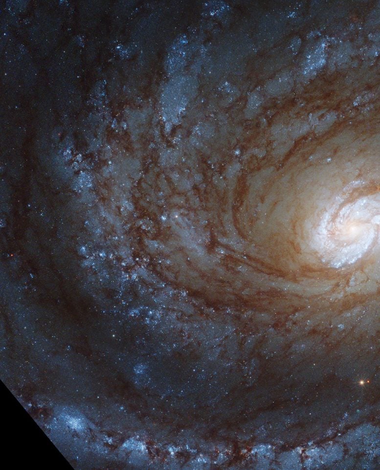 Galáxia espiral do Hubble NGC 4321
