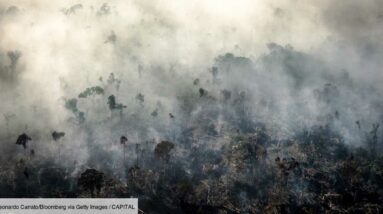 Brasil: França não faz nada sobre o desmatamento da Amazônia, condena o Greenpeace