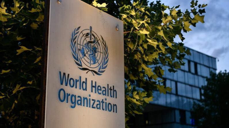 O relatório da Organização Mundial de Saúde estima que os casos globais de cancro aumentarão 77% até 2050