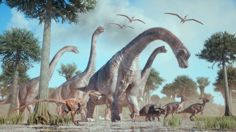 Dinosaur species - Brachiosaurus, Velociraptor, Triceratops, Parasaurolophus,in the nature. This is a 3d render illustration.