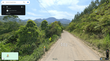 Uma criatura montanhosa parecida com um “anão” foi vista comendo plantas no Peru.  É um novo tipo