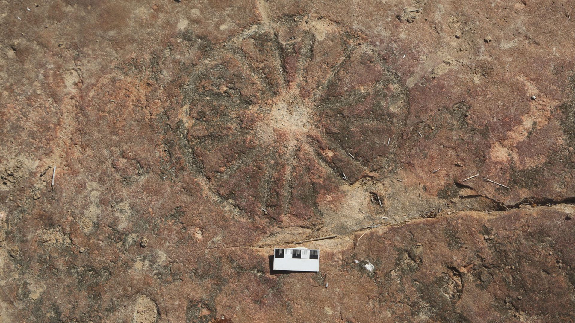 A arte rupestre é atribuída a pequenos grupos semi-nômades de caçadores-coletores.