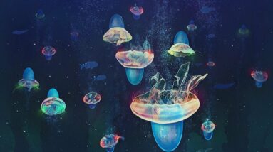 An illustration of jellyfish swimming in the ocean by Rebecca Konte. The jellyfish are wearing cones on their "heads" to streamline their swimming that contain some sort of electronics inside.