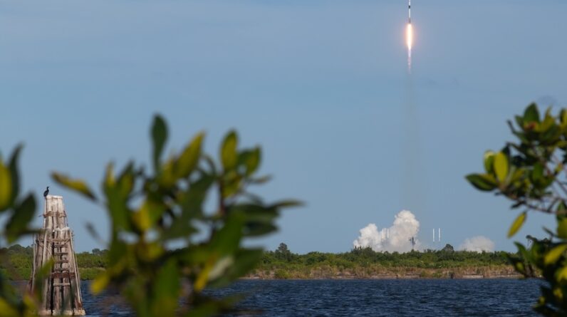 SpaceX lança 23 satélites Starlink no voo Falcon 9 do Cabo Canaveral – Spaceflight Now