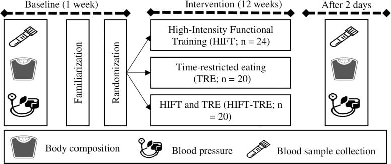 Gráfico de alimentação com restrição de tempo e exercícios de alta intensidade