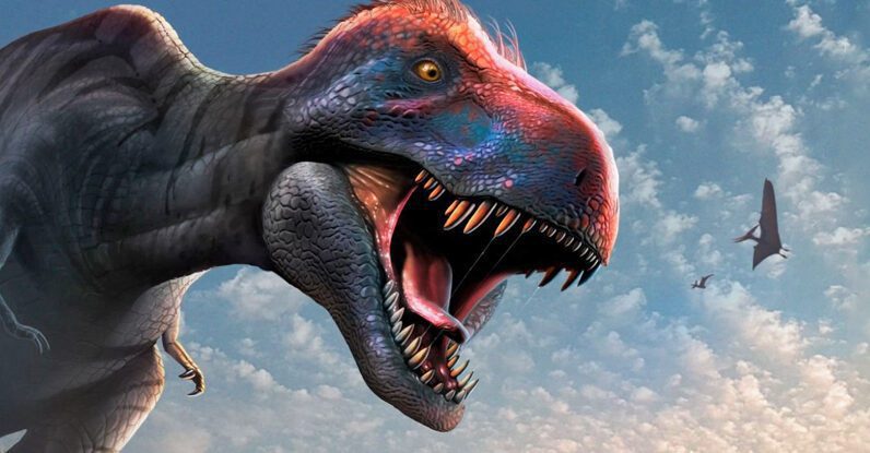 Podemos estar errados sobre o T.Rex novamente, diz novo estudo: ScienceAlert