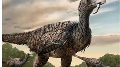 Pegadas na China apontam para um novo megaraptor que vagou com os dinossauros