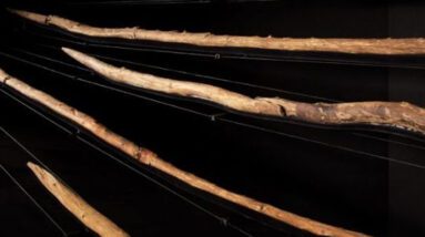 Estudo: Os humanos antigos fabricaram armas mortais de madeira há 300.000 anos