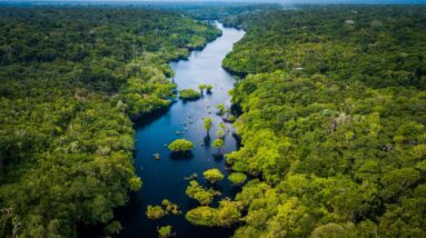 Crescimento verde na Amazônia traria bilhões ao Brasil