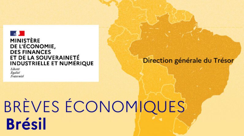 Brasil – Resumos Econômicos: Semana de 1º de janeiro de 2024