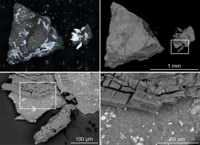 Imagens microscópicas de amostra do asteróide Bennu