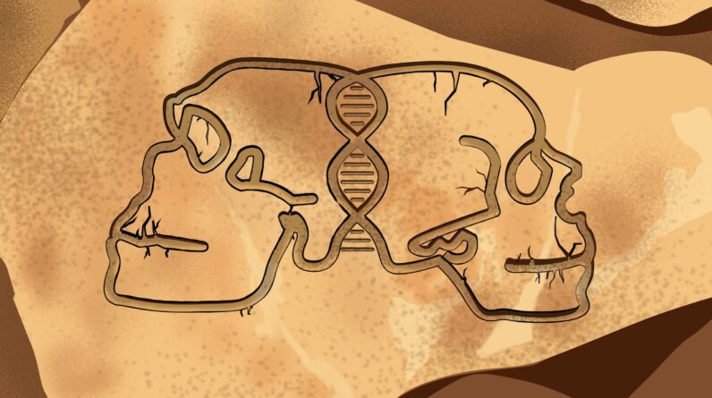 Novas descobertas revelam ligações antigas entre Neandertais e Neandertais