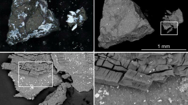 O planeta Bennu contém os “componentes originais” do sistema solar