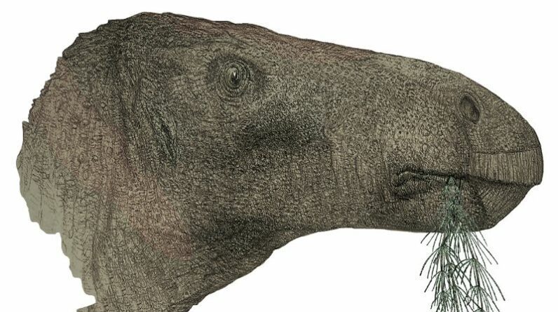 A descoberta de um fóssil completo de dinossauro centenário no Reino Unido revela uma nova espécie