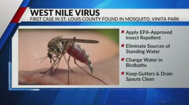 Autoridades alertam sobre a propagação do vírus do Nilo Ocidental em mosquitos do condado de St.