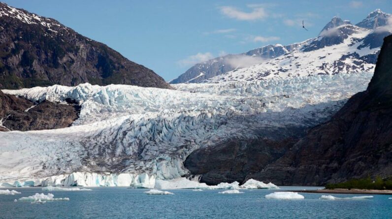 Estudo: As geleiras no campo de gelo do Alasca estão derretendo a um ritmo “muito alarmante”