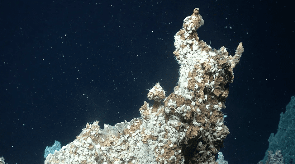 Uma fonte hidrotermal no campo hidrotermal de Jotul