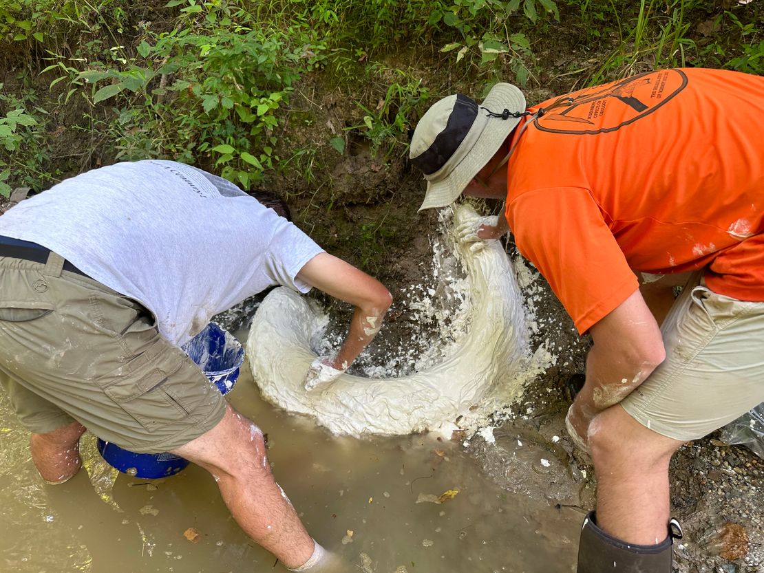 Cientistas de campo cobriram o fóssil com gesso na tentativa de evitar que a presa secasse e se desintegrasse.