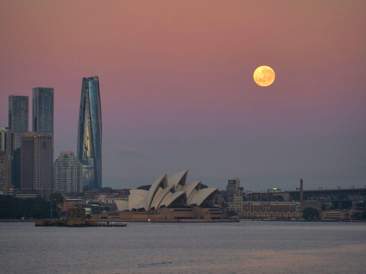 Céu rosa empoeirado com lua cheia amarelada no canto superior direito da imagem com o horizonte de Sydney abaixo, incluindo a Ópera de Sydney.