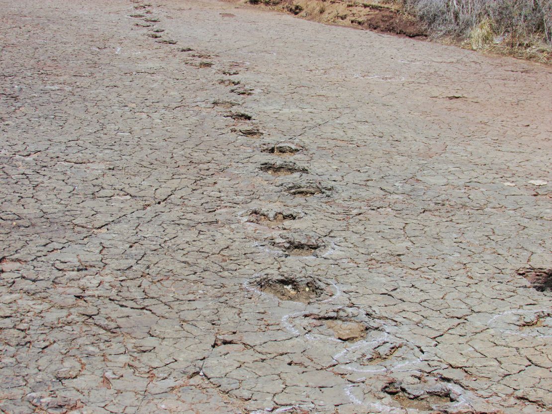 Pegadas de dinossauros foram preservadas em sedimentos de várzea na Bacia de Sousa, no Brasil.