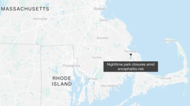 Plymouth, Massachusetts: Alto risco de encefalite leva a cidade a fechar parques noturnos